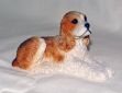 Picture of Dog - Cocker